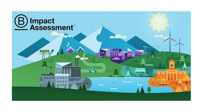 B Impact Assessment